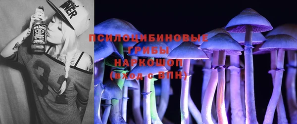 индика Баксан